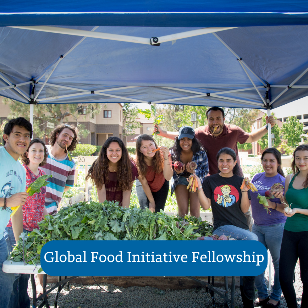 group of people standing side-by-side in front of a table with produce, Global Food Initiative Fellowship button overlayed on the photo