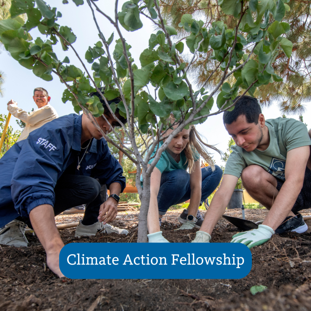 three people planting a tree, Climate Action Fellowship button overlayed on the photo