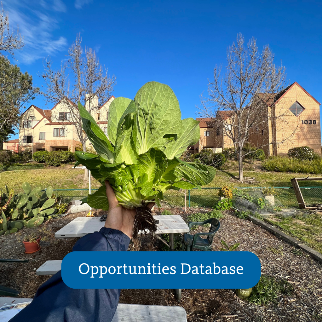 hand holding a head of lettuce, Opportunities Database button overlayed onto photo