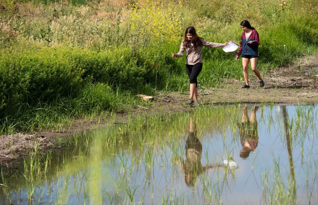 Two people walking along a pond within the ecological preserve